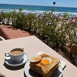 Sunny تورّيفيِخا