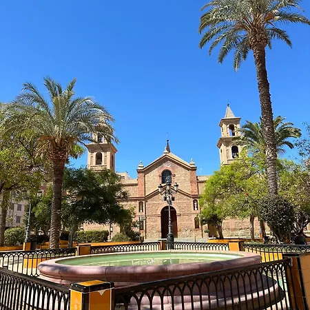 Sunny تورّيفيِخا